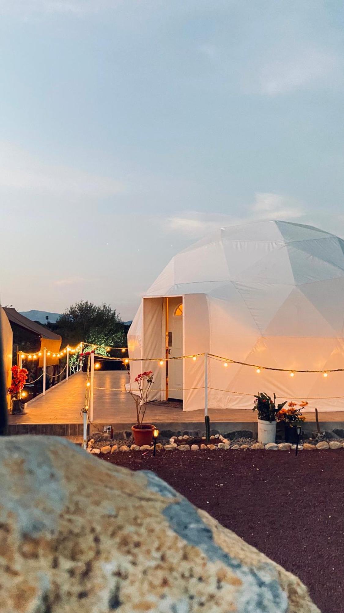 Hotel El Gato Glamping Con Vista A Prismas Basalticos Huasca de Ocampo Exterior foto