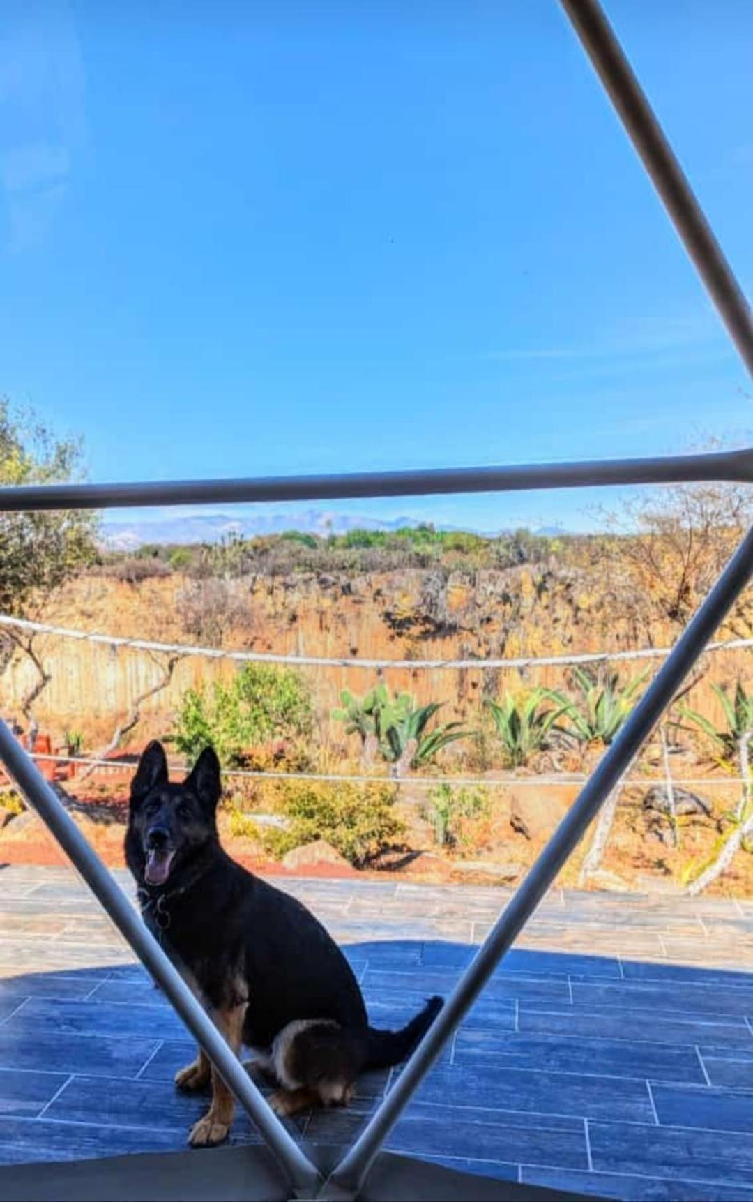 Hotel El Gato Glamping Con Vista A Prismas Basalticos Huasca de Ocampo Exterior foto