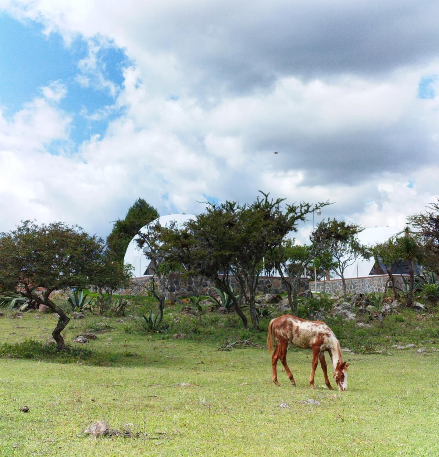 Hotel El Gato Glamping Con Vista A Prismas Basalticos Huasca de Ocampo Exterior foto