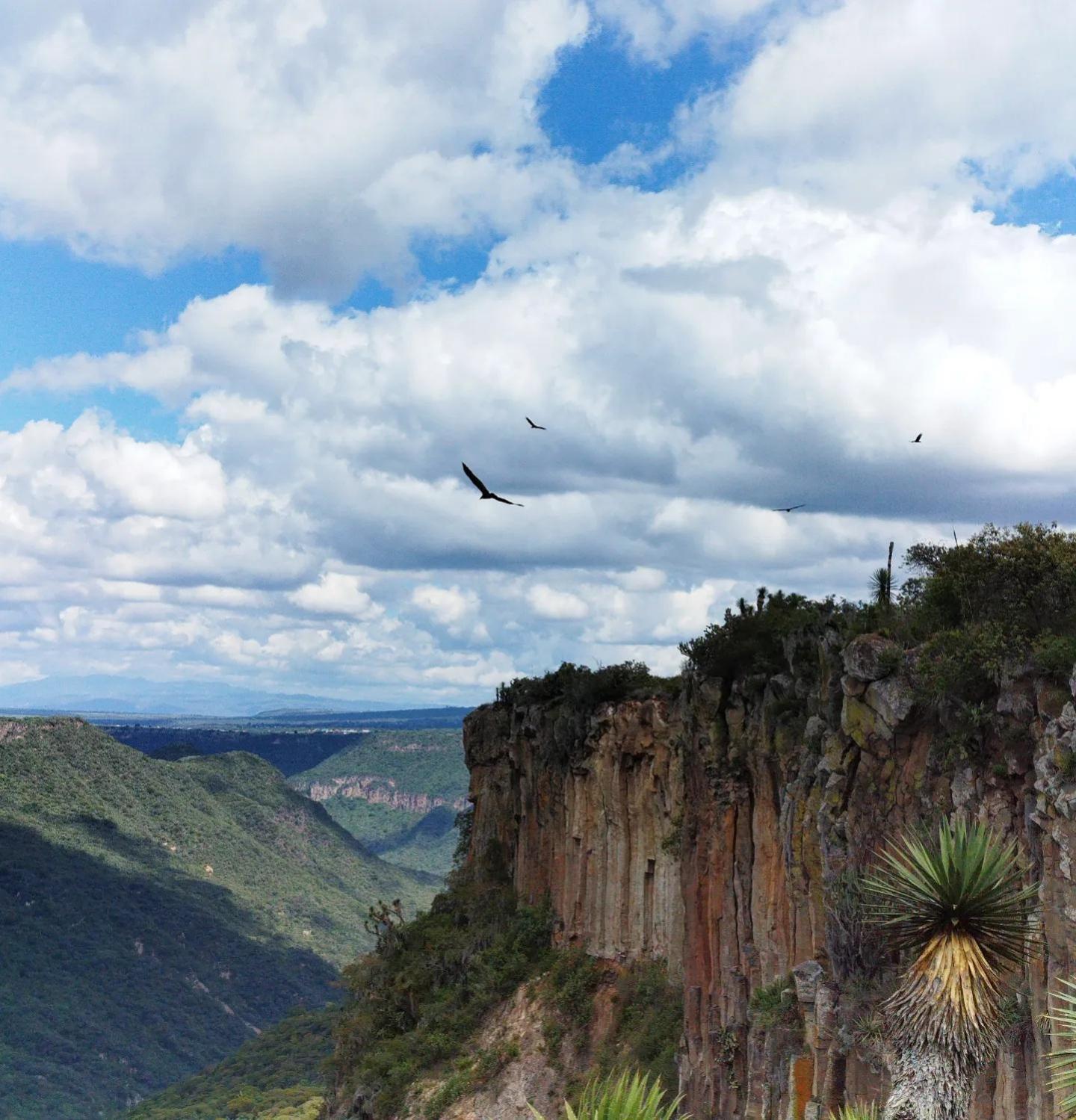 Hotel El Gato Glamping Con Vista A Prismas Basalticos Huasca de Ocampo Exterior foto